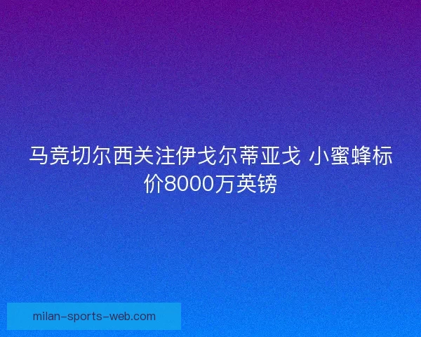 马竞切尔西关注伊戈尔蒂亚戈 小蜜蜂标价8000万英镑